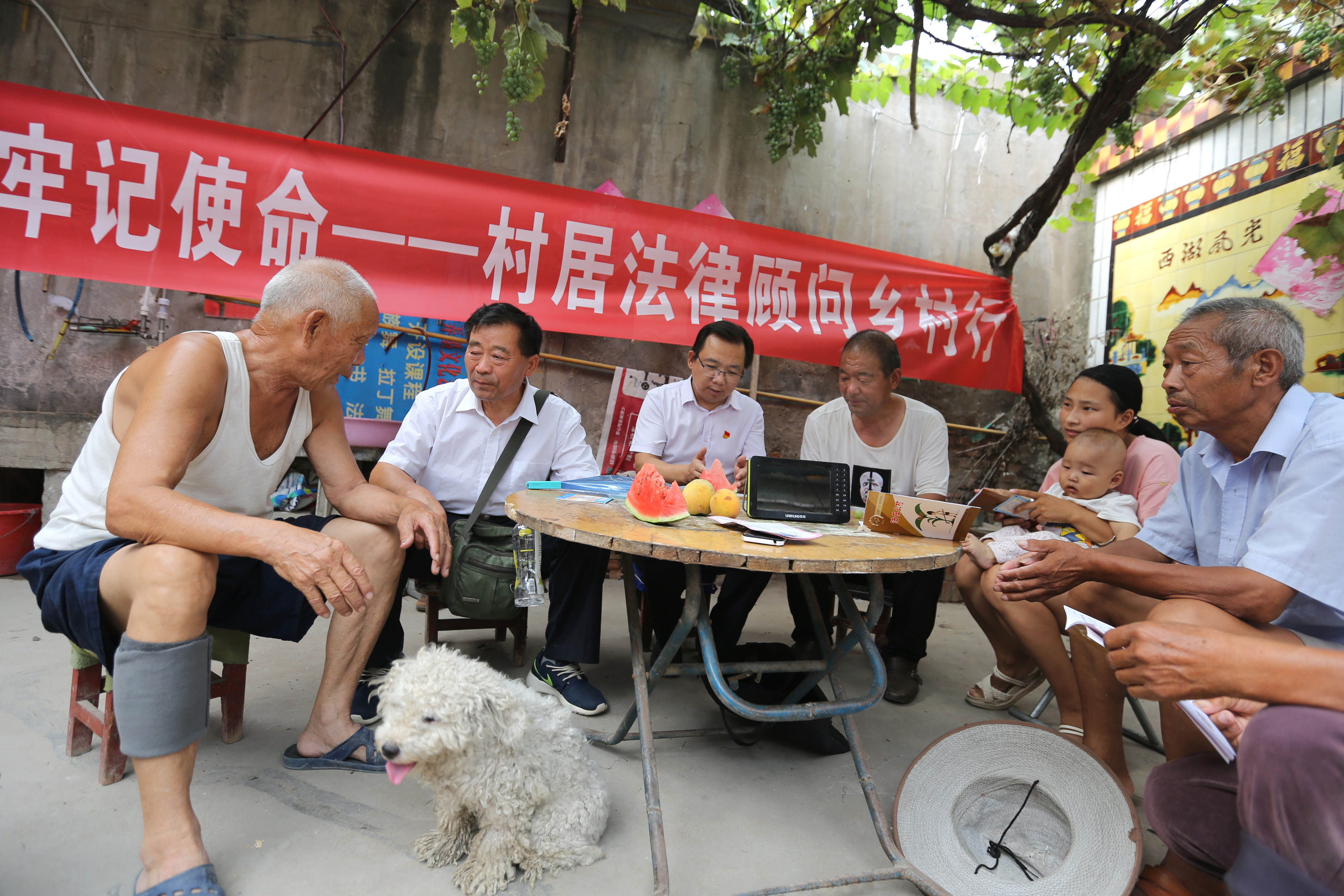 △2020年7月21日,河南省安阳市北关区柏庄镇前林都村,村法律顾问在农家小院里为村民解疑释惑。