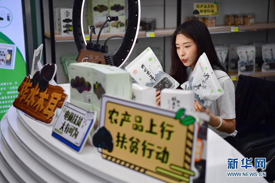 7月21日,在陕西柞水县小岭镇金米村木耳展销中心内,电商主播何锦漪通过直播售卖柞水木耳。新华社记者 邵瑞 摄